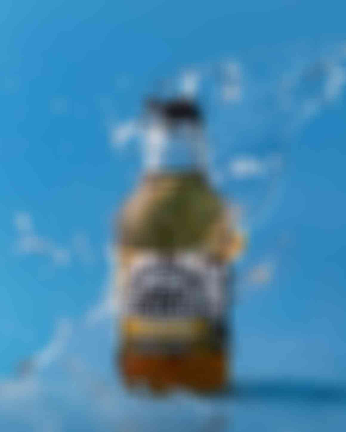 oshine-portfolio-16